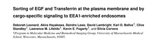 Sorting of EGF and Transferrin at the plasma membrane and by cargo-specific signaling to EEA1-enriched endosomes